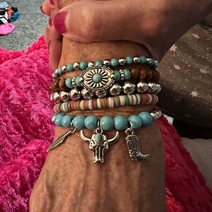 NWOT Turquoise and Silver Charm Bracelet with Brown Accents